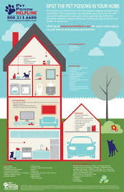 What you need to know. Pet Poison Prevention Week Is March 17 23 2019 Pet Poison Control Florida