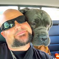 Bobcat family spotted