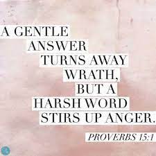 A soft answer turns away wrath. Pin On Bible Journaling The Word