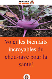 Voici Les Bienfaits Incroyables Du Chou Rave Pour La Sante Chou Rave Gommage Pour Le Corps Rave