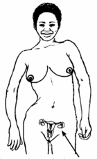 It's also the part that dilates before a person. A Woman S Reproductive System Hesperian Health Guides