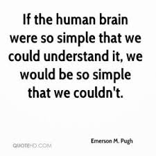 Quotes About The Human Brain Quotesgram
