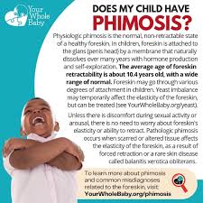 Image result for Phimosis