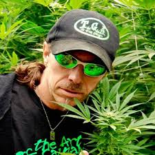 Stream episode Episode 23 ft Subcool of TGA Seeds