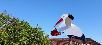 Maybe you would like to learn more about one of these? Le Mystere Des Cigognes Totems Vivre A Munich