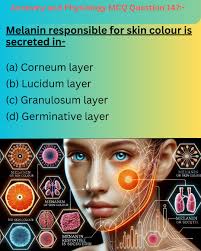 What makes something a protein in rbti?