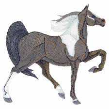 The tennessee walking horse is a handsome, intelligent animal that is well suited and ideal as a riding horse. Tennessee Walking Horse