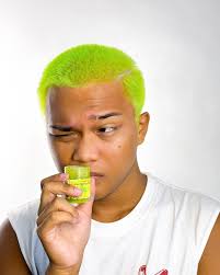 Arctic Fox Hair Color