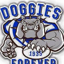 Canterbury Bulldogs Rflc Bulldog Mascot Canterbury Bulldogs Nrl Bulldogs