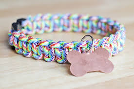 Rope, keychain hook, and super glue (wire is optional) thank you for watching! How To Rainbow Paracord Dog Collar