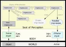 Executive Function Development Chart Lovely Neuropsychology