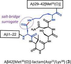 Design And Properties Of Met35 O A 42 Lactam Asp23 Lys28