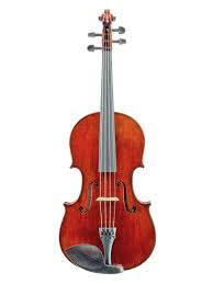 Image result for Viola