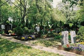 Mitarbeiterin bei plandrei landschaftsarchitektur gmbh seit 03/2019. Mdm Online Location Guide