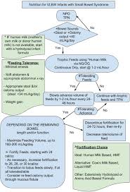 Management Of Short Bowel Syndrome In Postoperative Very Low Birth Weight Infants Seminars In Fetal And Neonatal Medicine