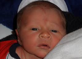 Flight To Success: February 2012