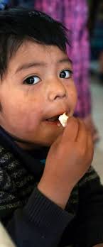 Costeo «Línea de acción Salud y nutrición»