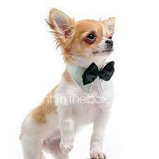 Perro Corbata Pajarita Algodon Perro Pequeno Blanco Naranja Verde Invierno 2021 Us 5 59 Trajes Para Perros Corbatas Para Perros Disfraces Para Perros