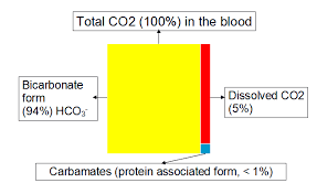 Image result for Hypochloremia