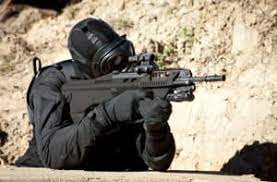 Баранина (f88) ige, immunocap (англ. Enhanced F88 Assault Rifle Enters Adf Service Australian Defence Magazine