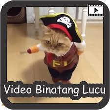 Download video lucu gokil terbaru 2020, bikin ngakak dan terhibur! Video Binatang Lucu Download Latest Version Apk Apk Latest