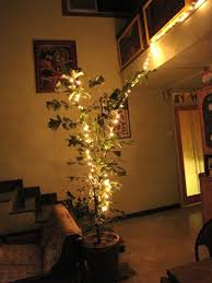 Diwali Tip If You Have Potted Plants In Your Home Decorate Them With Serial Lights This Diwali To Add That Glow To An Otherwise D Cascade Lights Decor Lights
