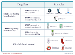 Image result for Medications in COPD Management