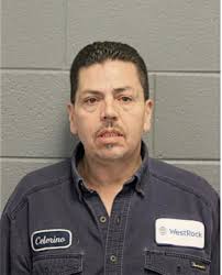 ᐅ Illinois Criminal Records 2009-2025