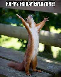 Friday memes because by the end of the week, we all need a good lol! 430 Friday Memes Ideas In 2021 Its Friday Quotes Friday Humor Friday Meme