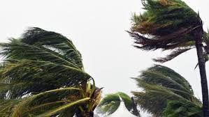 Tropical cyclone imogen formed about 7pm on sunday and crossed the gulf of carpentaria coast just to the north of karumba, about 530 kilometres west of cairns, about 9pm on sunday. Kfy2f Vrypkhym