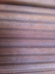 The hardwood flooring available on this site are some of the finest. Vergleich Terrasse Aus Holz Oder Stein Vorteile Nachteile Kosten Hausbau Blog