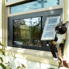 Traumhaftes ferienhaus, direkt seelage, für den urlaub mit haustier, insbesondere katzen. Ferienhaus Mit Katzensicheren Garten