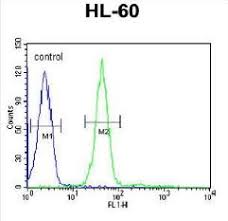 Antibodies are are affinity purified using solid phase human igg (h&l). Polyclonal Grpr Antibody Mybiosource