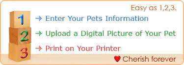 We did not find results for: Go Pet Certificates