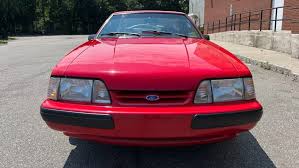 Image result for Wild Strawberry 1991 Tempo