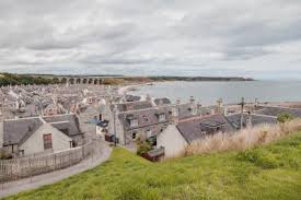 Image result for Cullen