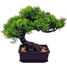 Artificial Decorating Bonsai Tree Plant Online Gifts To Nepal Giftmandu