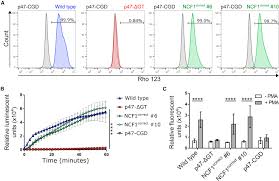 Luís bravo diz que apenas estão a funcionar os serviços mínimos, mas a cp fala em. Targeted Repair Of P47 Cgd In Ipscs By Crispr Cas9 Functional Correction Without Cleavage In The Highly Homologous Pseudogenes Sciencedirect