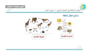 دروس عين انتقال الطاقة في النظام البيئي تدوير المواد علم البيئة مقررات مشترك ١ Youtube