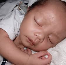 Profile for Martin Brent