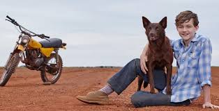 Hollywood has yet to learn its lesson about cgi animals. Red Dog True Blue Comes Home To Dvd Digital On Demand February 6 True Blue Red Dog Dogs