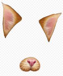 Snapchat Cat Face Filter Ears And Nose Png Image Cat Face Png Images Animal Categories