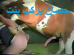 فيديو سكس حيوانات حصان يركب بنت وينيك كسها بقوة لاول مرة زبك هيقف