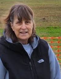 Sue E Whaley Obituary (2024)