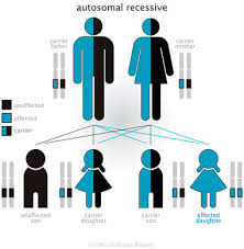 Image result for Hereditary Fructose Intolerance