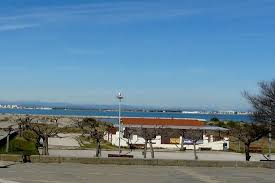 L Amarette Fev 2017 Photo De L Amarette Port Camargue Tripadvisor