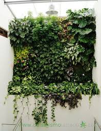 Pin De Emmalyn En Gardening Of The Arid Southwest Jardines Verticales Jardineria De Invernadero Jardineria Vertical