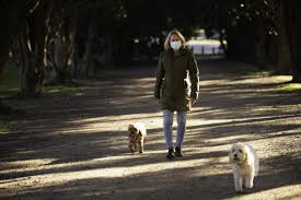 Singles will be allowed to form a bubble after the sydney lockdown was extended by a further four weeks. Melbourne Singles Here S Why Picking Your Bubble Buddy Is So Important