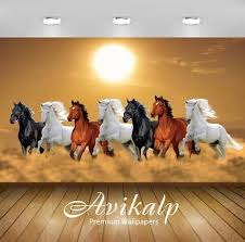 Nature wallpaper imported 3d wallpaper supplier retailer dealer. Seven Horses Horse Wallpaper Hd Full Screen