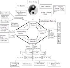 Bananasana, melting heart and reclined twist. 7 Lung And Large Intestine Meridian Exercises Help Ideas Chinese Medicine Traditional Chinese Medicine Acupuncture